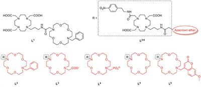 In-depth Study of a Novel Class of Ditopic Gadolinium(III)-based MRI Probes Sensitive to Zwitterionic Neurotransmitters